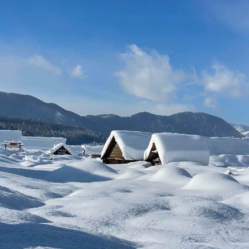 阿勒泰起止6日小团丨新疆旅游北疆喀纳斯禾木白哈巴2-6人含接送机
