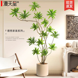 Simulated Green Plant Lily Bamboo Indoor High-End Decorative Ornaments for Living Room Light Luxury Floor-Standing Nordic Style Simulated Tree Potted Plant