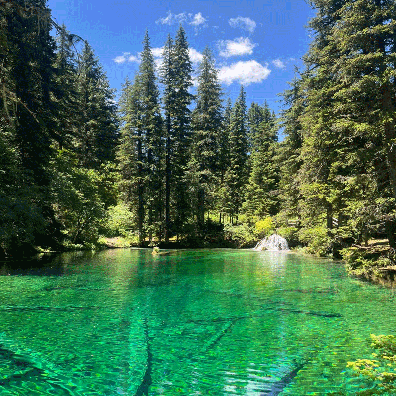 重庆+成都纯玩慢慢游7天丨九寨沟、峨眉山