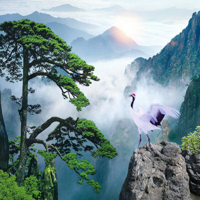 【含往返高铁票】黄山旅游5天4晚跟团游西递宏村婺源篁岭九华山