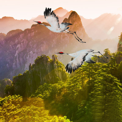 【含往返高铁票】黄山旅游黄山宏村3天2晚纯玩跟团游住山顶观日出