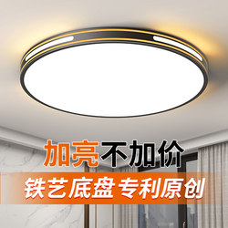New Eye-Protecting Led Ceiling Lamp, Simple and Modern Living Room Lamp, Main Lamp, Bedroom, Kitchen, Dining Room, Balcony, Aisle Lighting Fixtures