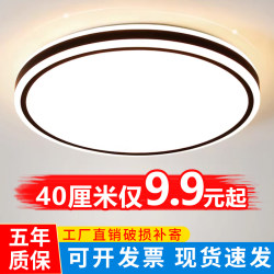 Led Ceiling Light Round Corridor Aisle Light Balcony Light Room Light Bedroom Light Living Room Light Hall Zhongshan Lighting Fixtures