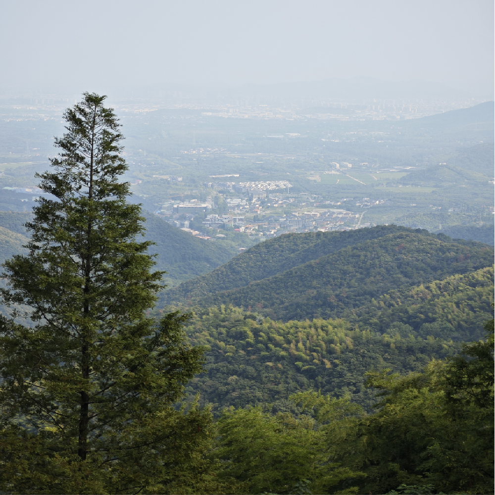 【休闲度假】杭州+莫干山4天3晚私家团