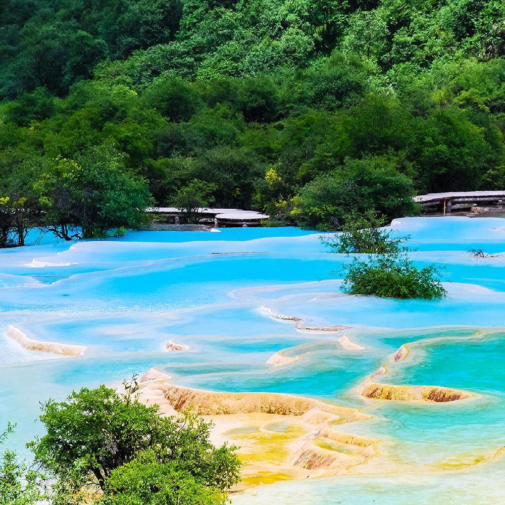 成都+九寨沟+黄龙+熊猫乐园5日4晚游