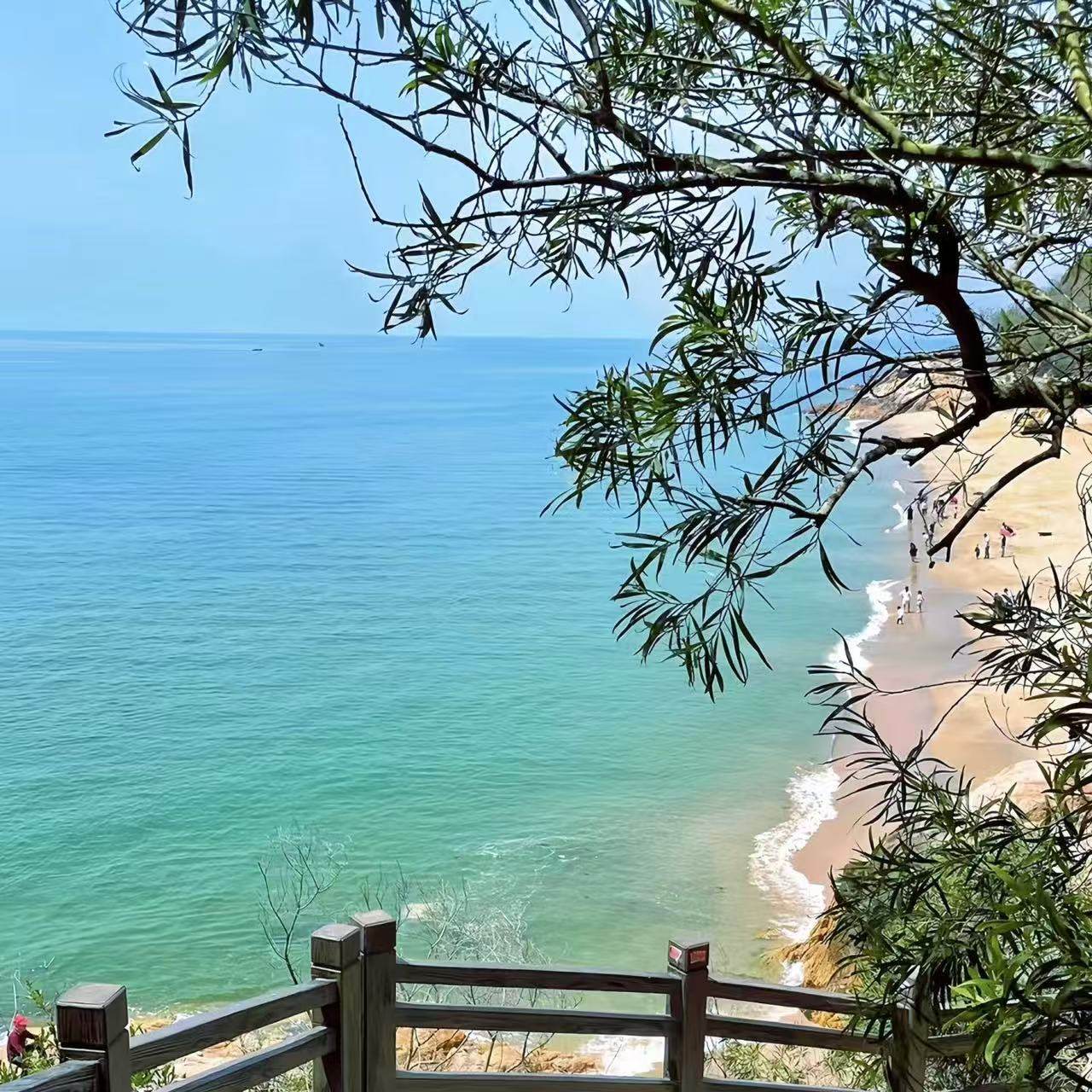 【广州+长隆野生动物园+深圳】四天三晚游纯玩无购物跟团游