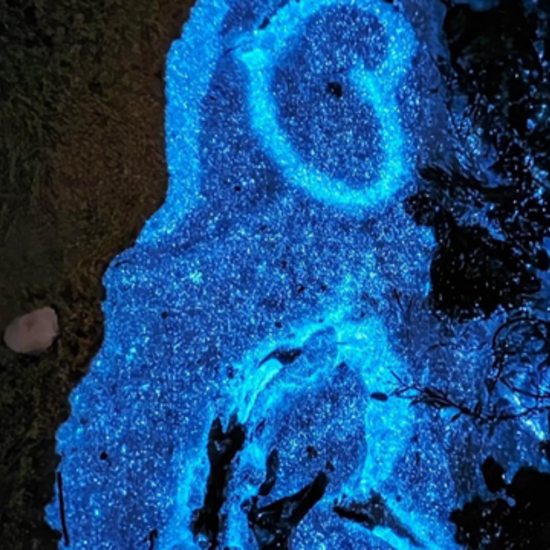 4天3晚福州市私家团住白宫大酒店+平潭+专属用车一次被宠坏的旅行