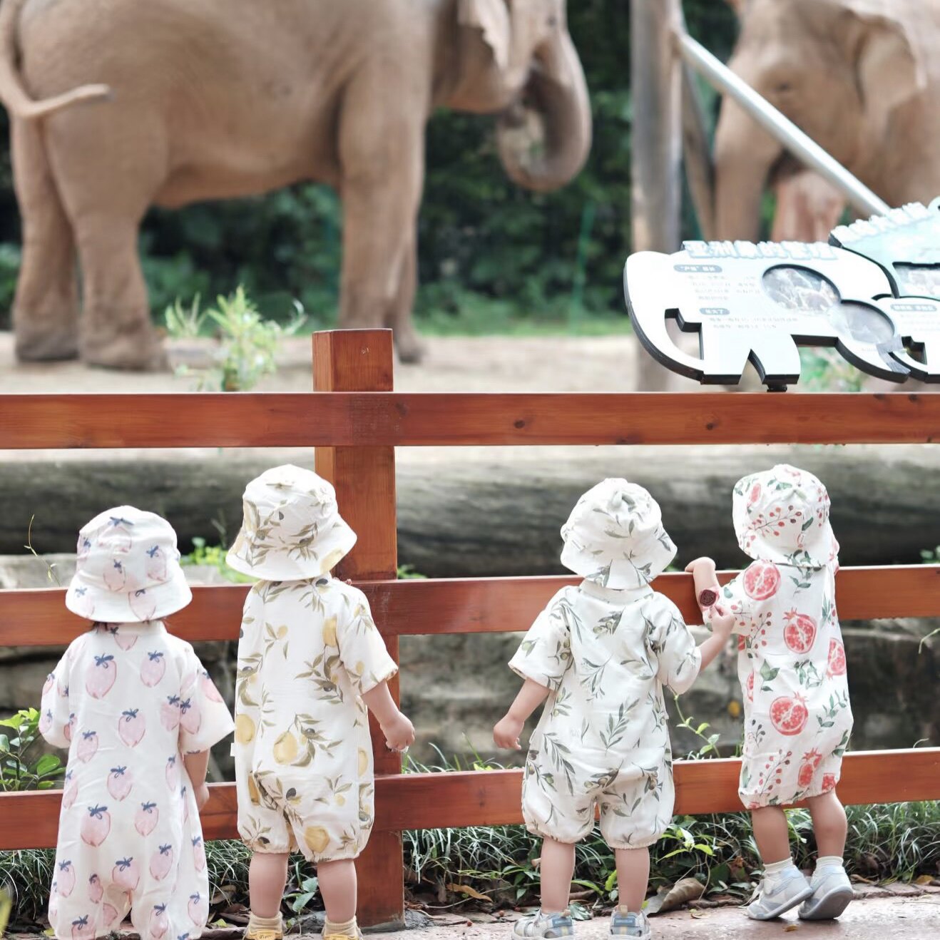 【广州+长隆野生动物园+深圳】四天三晚游纯玩无购物跟团游