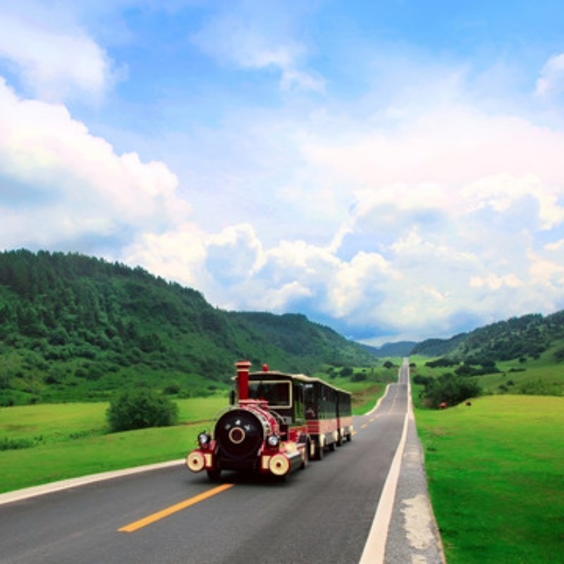 5天4晚重庆私家团住重庆訪+桃花源+专属用车+一次被宠坏的旅行