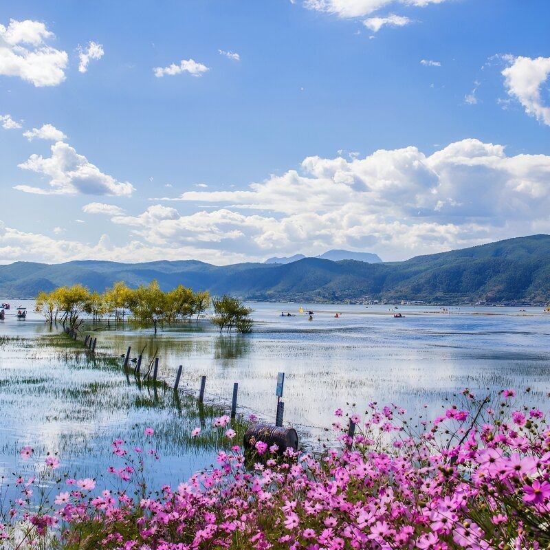 云南旅游拉市海一日游纯玩茶马古道湿地公园丽江千古情贵宾门票