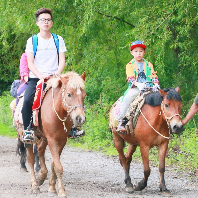 云南旅游拉市海一日游纯玩茶马古道湿地公园丽江千古情贵宾门票