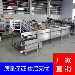 Manufacturer supplies community group purchase vegetable cleaning machine, wild vegetable and Su leaf deep processing cleaning equipment