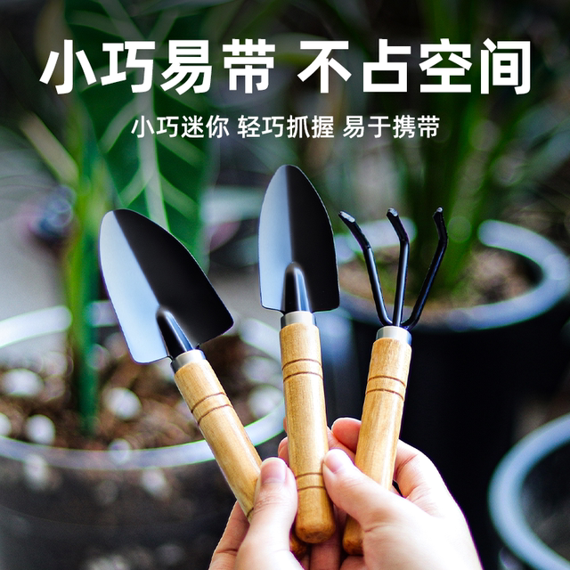 Potted small shovel planting flowers and gardening tools Planting succulent tools Set mini three -piece home with iron shovel
