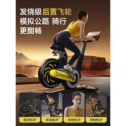 Oes Spinning Bike for Home Use, Silent Indoor Exercise Bike, Gym-Specific Cardio Equipment