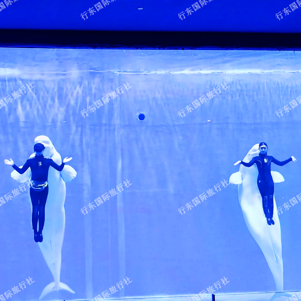 淮安套餐004 张纯如纪念馆/河下古镇/里运河花街 一日包车游