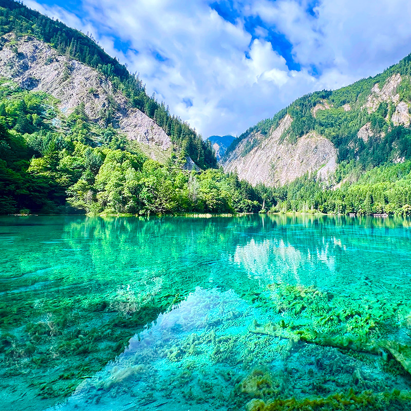 九寨沟两日游双人精致纯玩小团保姆车金牌领队含高铁黄龙跟团游