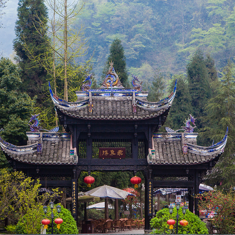 都江堰深度跟团游成都青城山熊猫基地一日游纯玩无购物精致小团