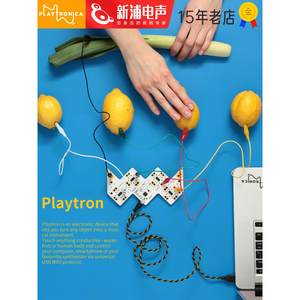 Playtronica Playtron analog sampling synthesizer midi controller electronic music peninsula iron box
