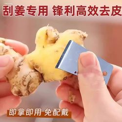 Ginger Peeling Tool Kitchen Portable Ginger Scraper Stainless Steel Peeler for Clean and Fast Peeling Commercial Model