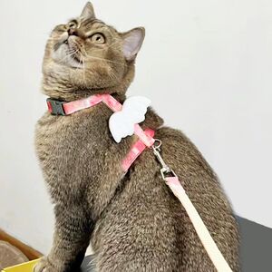 Cat traction rope defense breaks out of special artifacts for special artifacts to walk cat ropes, rabbits, puppy chain adjustable pet supplies
