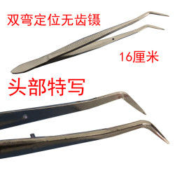 Special double-curved tweezers for dentistry, stainless steel, thickened, positioning, no tooth pattern, orthodontic dentistry, orthodontic with rubber band
