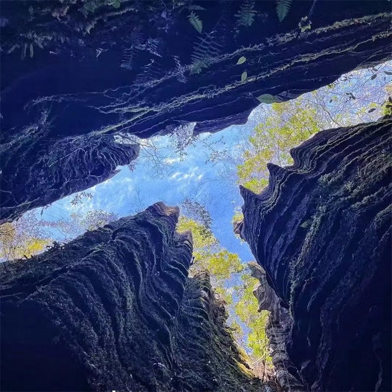 恩施5天16人团 恩施大峡谷/屏山宣恩/梭布垭+赠160/人景交