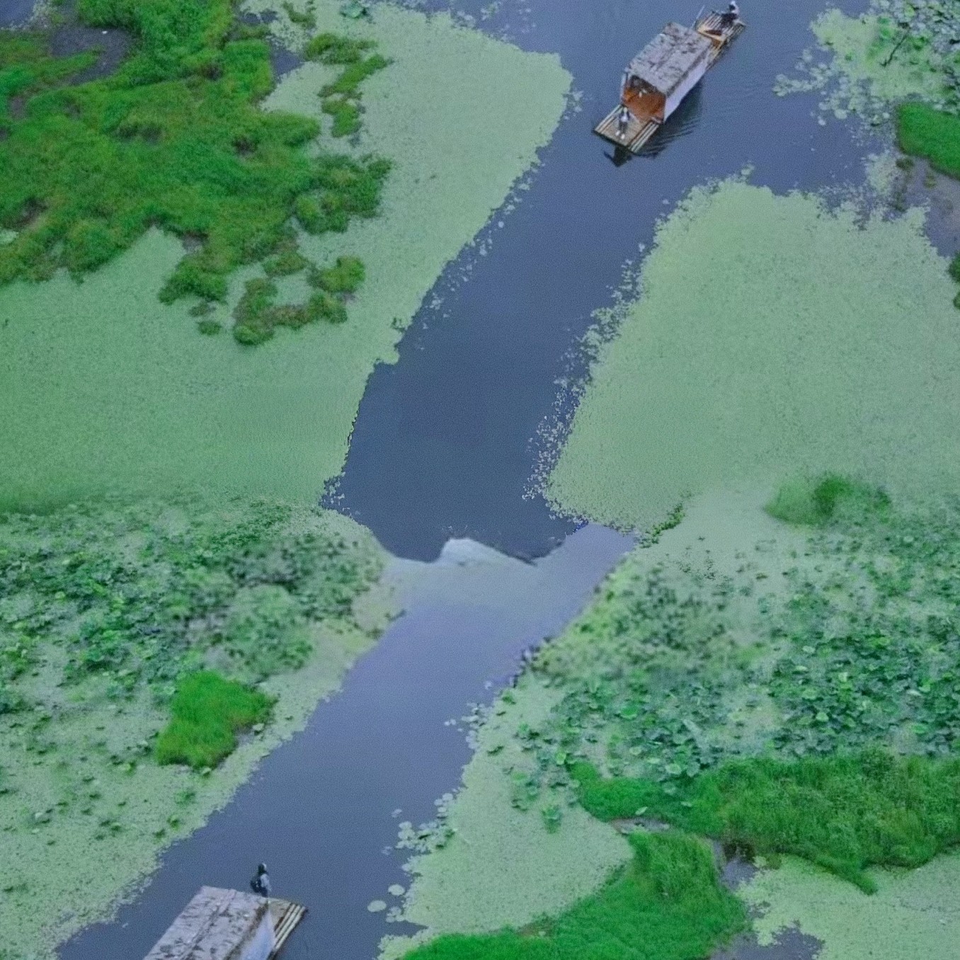 【飞猪臻选商家】昆明腾冲6天5晚纯玩私家团高黎贡山徒步天然温泉