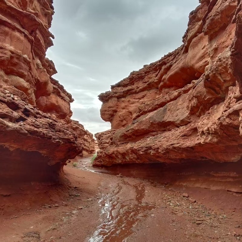 1日游梦幻大峡谷乌海湖【精品小团】0购物0进店