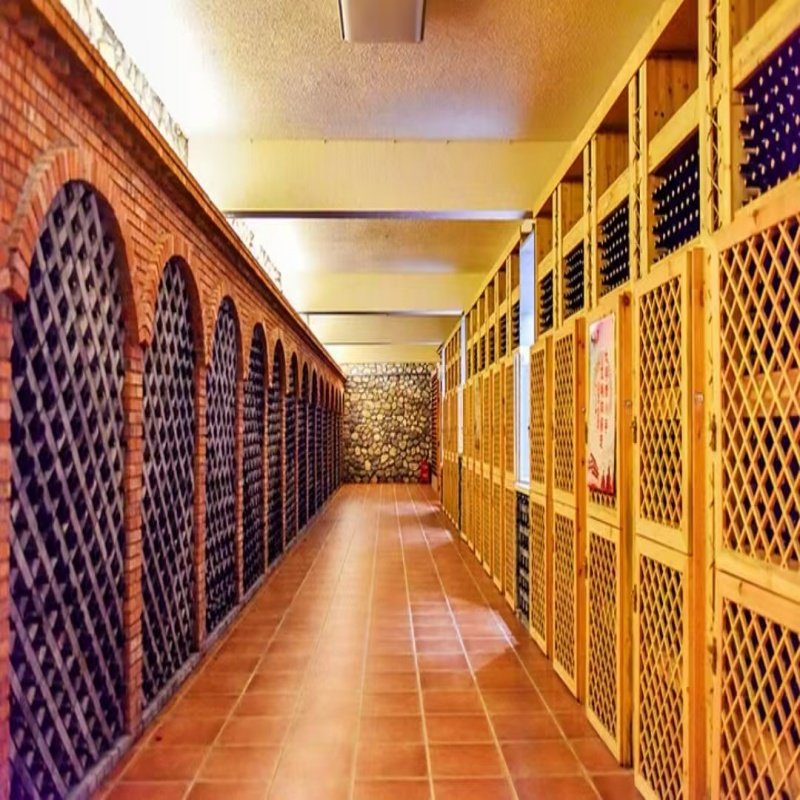 1日游宁夏酒庄品酒-源石酒庄+贺兰山岩画+西夏王陵