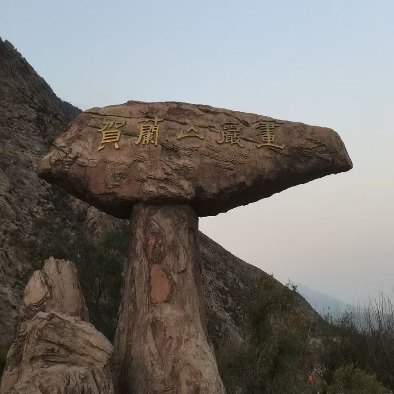 1日游银川西部影视城+贺兰山岩画+西夏陵(银川市内上门接)