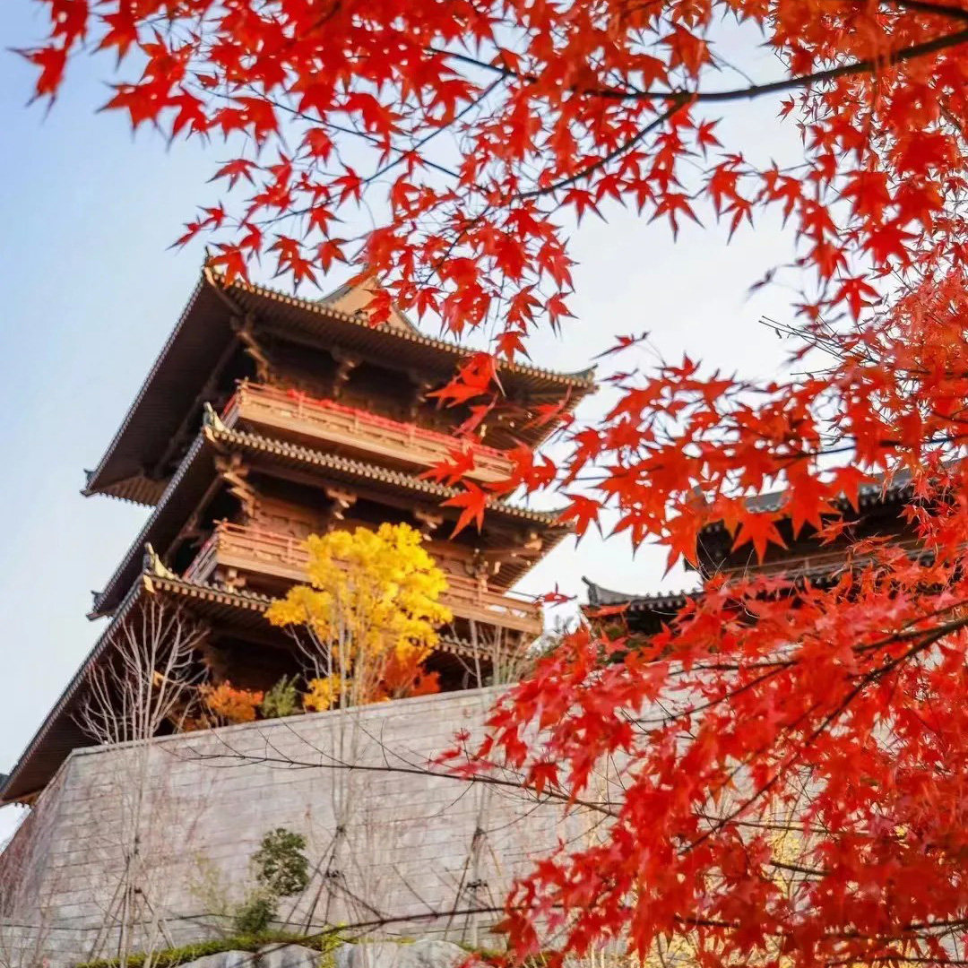 【万卷说·私家团】江苏园博园 人工讲解1.5h 不含门票和交通