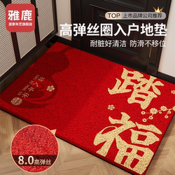 Yalu Entrance Door Mat, Dust-Removing, Washable Wire Loop Foot Mat, Household 2025 New Model, Non-Slip Red Door Mat
