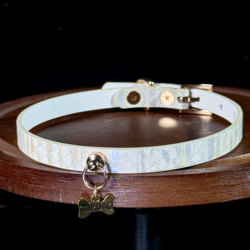 「Top Dog」Puppy Collar Genuine Leather Neckband Choker Women's Clavicle Chain Men's Niche Gift Couple Style