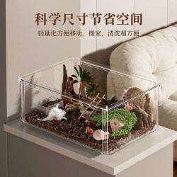 Rat wife watermelon worm breeding package mat box feed dead leaf gecko reptile pet reptile ecological tank millipede pet
