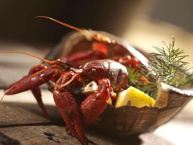 即食麻辣小龙虾尾,让你度过完美夏天(图1) 即食麻辣小龙虾尾,让你度过完美夏天(图1)