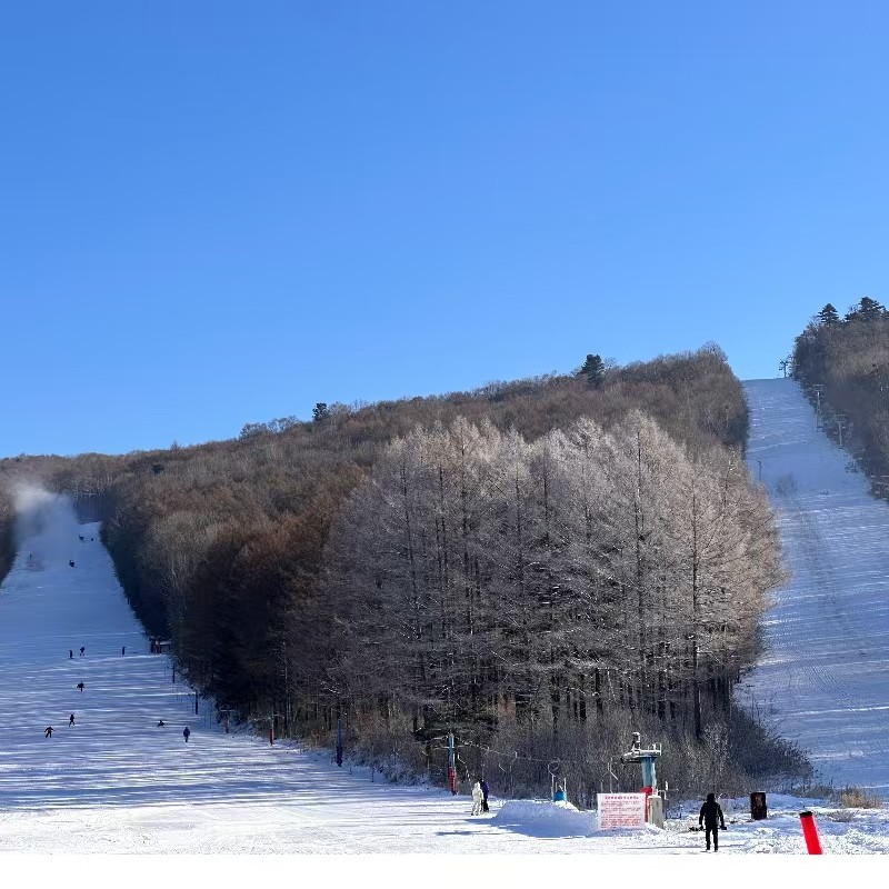 【2026哈尔滨-伊春冰雪奇缘冬令营】冰雪大世界+工业大学+鹿溪牧