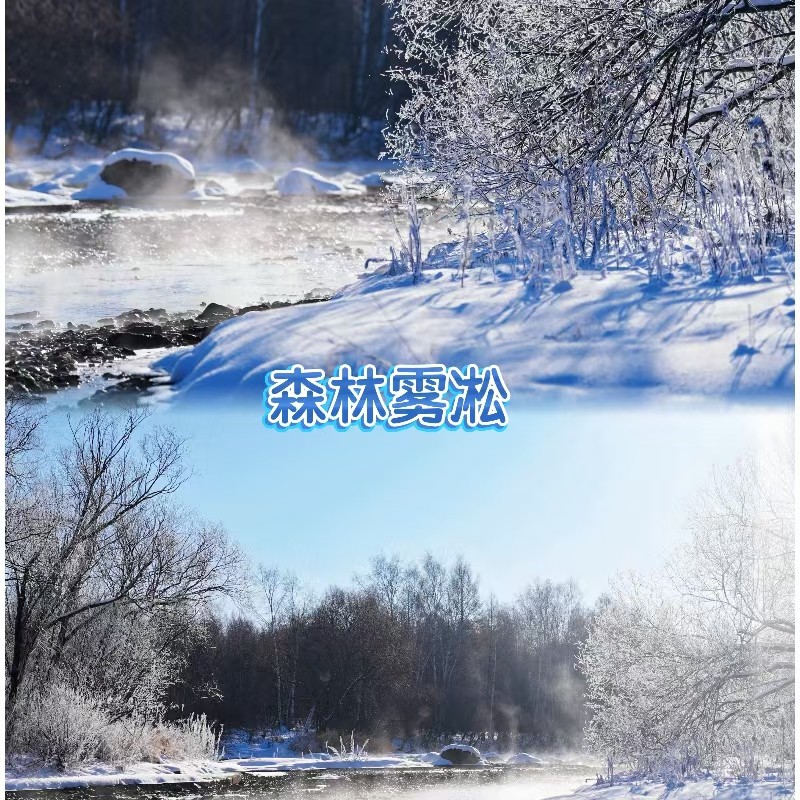 【2026哈尔滨-伊春冰雪奇缘冬令营】冰雪大世界+工业大学+鹿溪牧