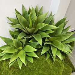 Simulated agave fake green plant Nordic tropical desert plant agave succulent plant landscaping decoration big aloe vera