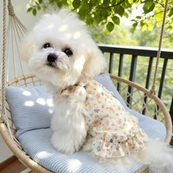 Dog Clothes Spring and Summer Floral Dress Fresh and Cute Princess Dress Small Dogs Bichon Cat Thin Breathable Dress