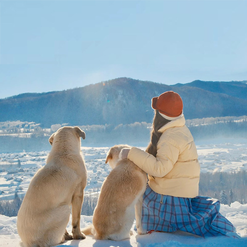 【豪华舱+高档住】新疆阿勒泰旅游3天2晚日喀纳斯禾木旅行纯玩6人