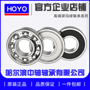 
Harbin high speed bearing 6000 6001 6002 6003 6004 6005 6006 6007 RS ZZ