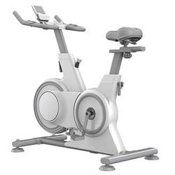 Dynamic Spinning Bike, Indoor Exercise Bike, Home Silent Exercise Bike, Weight Loss Gym Equipment