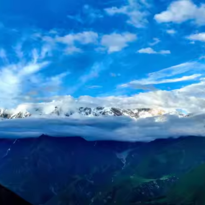 西藏林芝2日跟团游