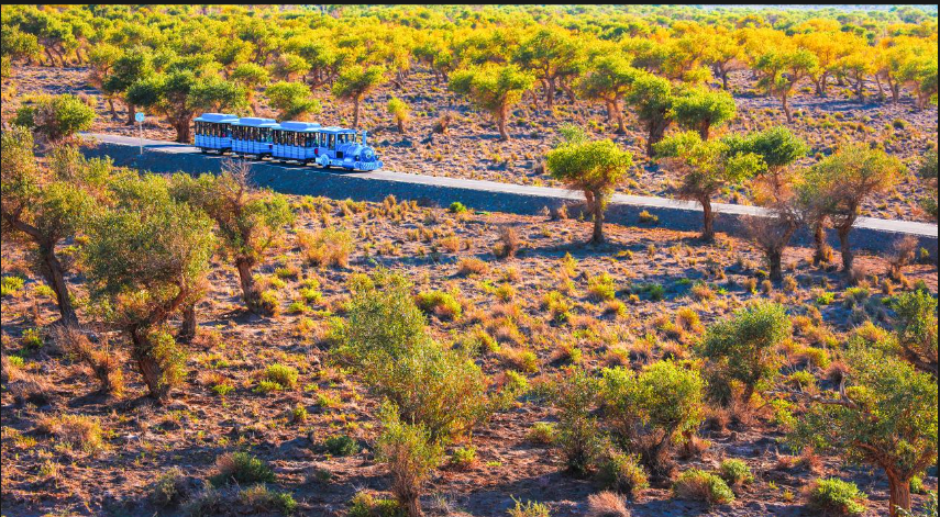 新疆哈密2天+连锁品牌酒店+指定景点+大河古城遗址