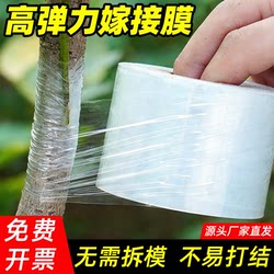 Grafting Film, Special Pe Film, No Need to Knot, Self-Adhesive Film, Garden Fruit Tree Grafting Tape, Wrapping Tape, Wrapping Film
