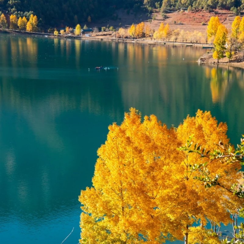 遇见云南▏丽江泸沽湖自由行游玩泸沽湖丽江古城含酒店住宿门票