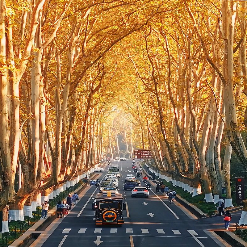 【元旦预售】江西跟团庐山石钟山景德镇陶阳里三清山夜游望仙谷