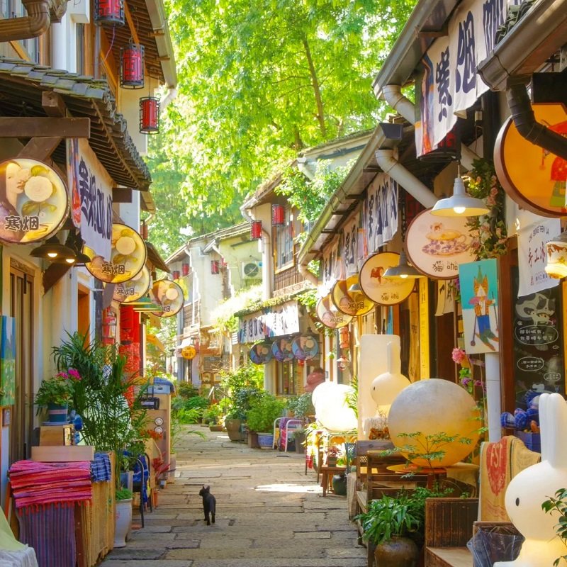 遇见杭州|杭州上海两地自由行游玩西湖景区外滩东方明珠含住宿