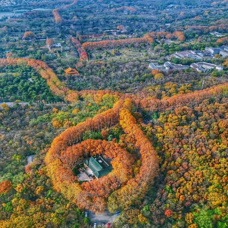 南京自由行+夫子庙牛首山明孝陵中山植物园住新街口商茂国际酒店