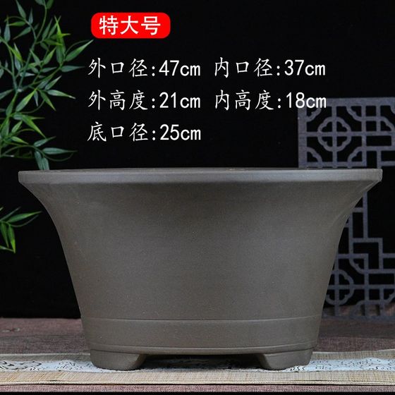 Purple sand bonsai garden flowerpot flower express delivery flower simulation green plant gardening S vase flower container flower pot flower stand